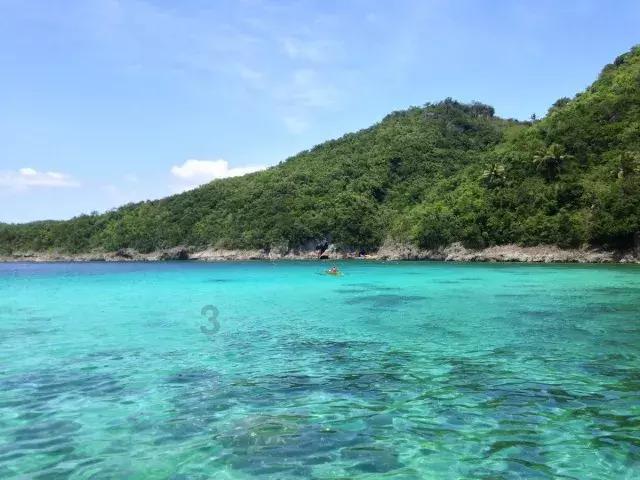 扶摇：当长孙无极和扶摇说清楚了之后为什么会选择把玄灵真叶送给扶摇呢？游戏画面